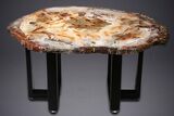 Wide Brilliant Red and White Petrified Wood Table #344144-3